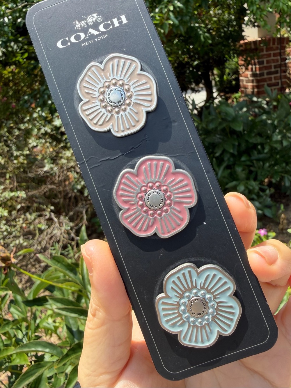 Coach Tea Rose Multicolor Enamel Pin Set